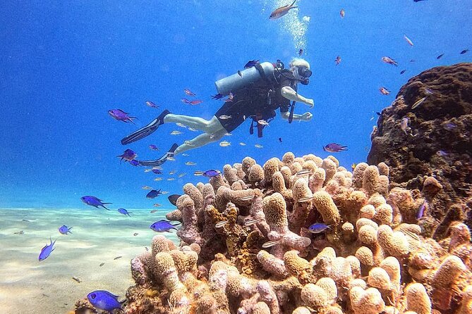 paradise island ( punta rucia) - Booking, weather, and cancellation advice