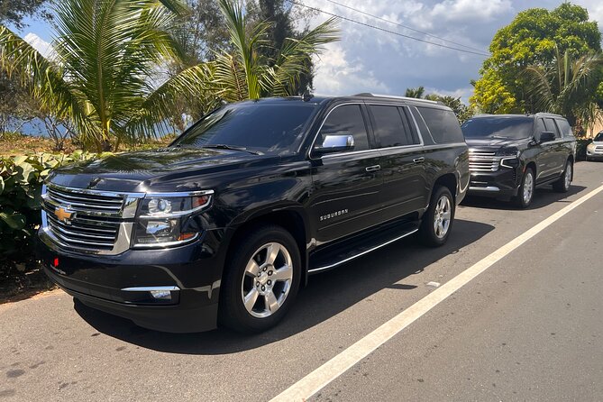 Paradise on Wheels: Suburban Premiere in Punta Cana - Round Trip - The ride to your hotel, resort, or condo