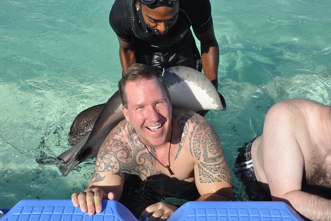 Parasailing, Snorkel Cruise & Virgen Beach from Punta Cana - The shark and stingray encounter