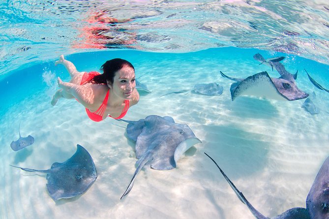 Parasailing, Snorkel Cruise & Virgen Beach from Punta Cana - Weather, delays and group size