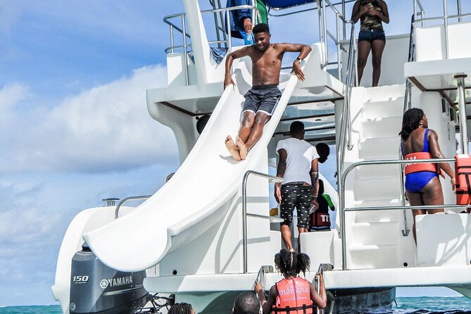 Party Boat Catamaran with Snorkeling from Punta Cana - The dolphin stop and what you actually see