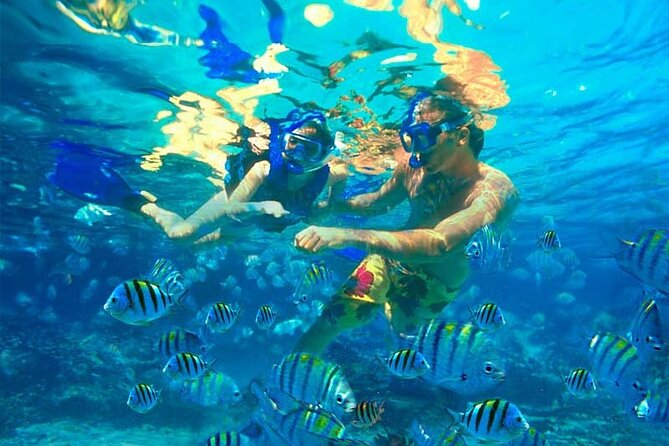 Party Boat Catamaran with Snorkeling from Punta Cana - The biggest concern: transfers, timing, and boat organization