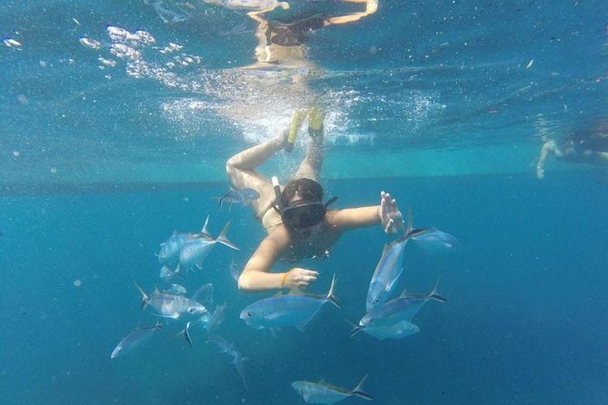 Party boat in Catamaran with Open Bar Only Adults + Snorkeling - Music, dancing, and the crowd