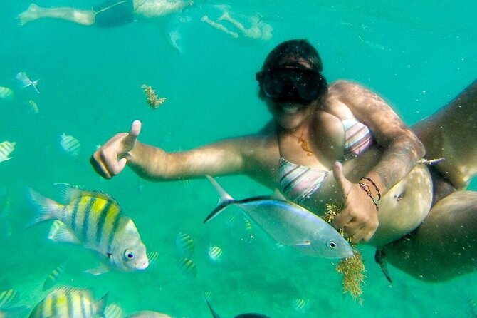 Party Boat - Private groups, snorkeling - Open Bar. - Dolphin viewing and the natural pool stop