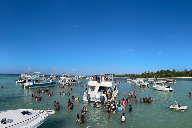 Party Boat Punta Cana Public or Private and Open Bar - Dolphin viewing from the catamaran