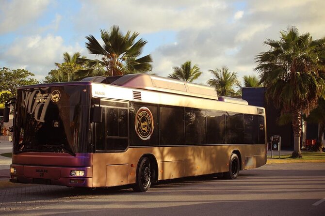 Party Bus Rental - Key points to know before booking
