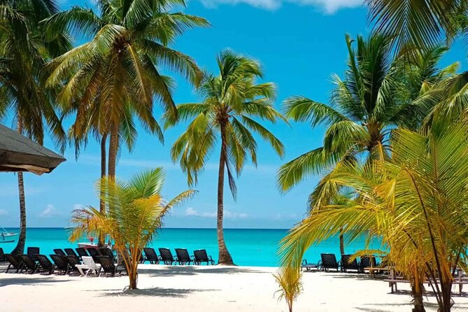 Perfect Day at Saona Island by Speedboat - Completely Private - Key points to know before you book
