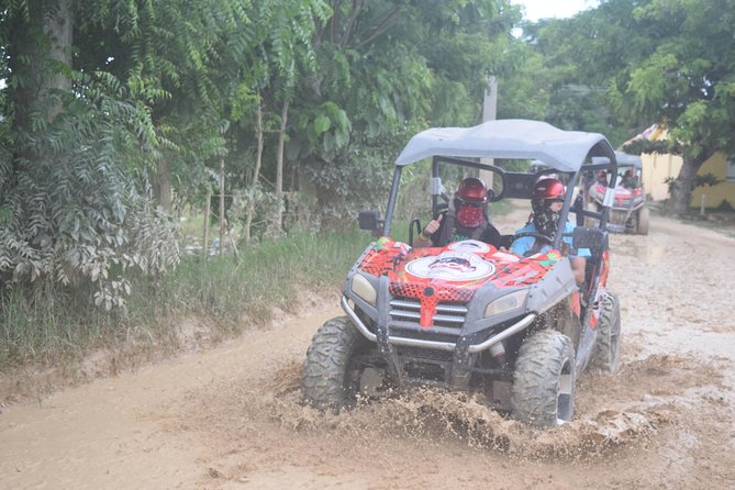 Platinum Buggy Adventure - The driving rules are strict for a reason
