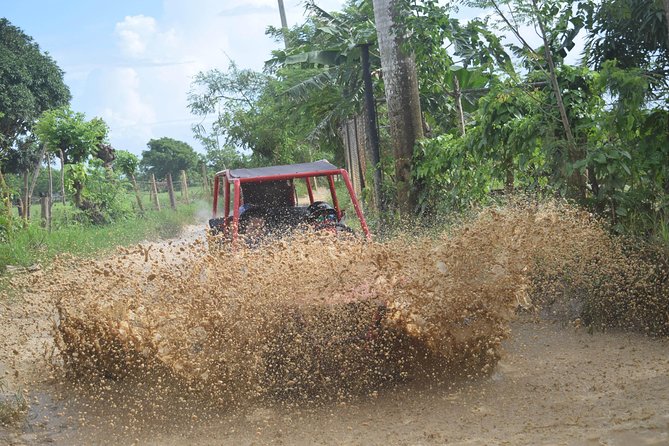 Platinum Buggy Adventure - Is $65 a fair price in Punta Cana?