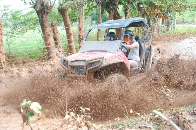 Platinum Buggy Adventure - Choosing between driving alone and sharing