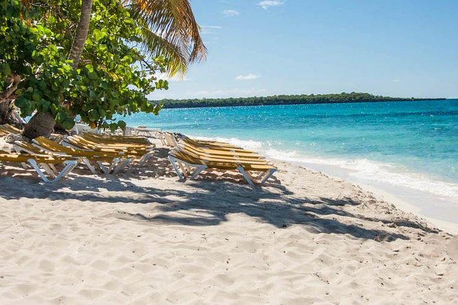 Platinum Catalina Island and Chavon River - Who will enjoy this Catalina Island trip