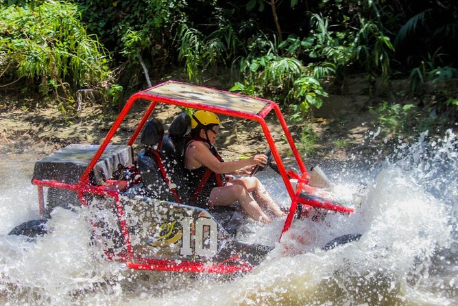 Pop Buggy Excursion from Amber Cove and Taino Bay Puerto Plata - Key points to know before you book