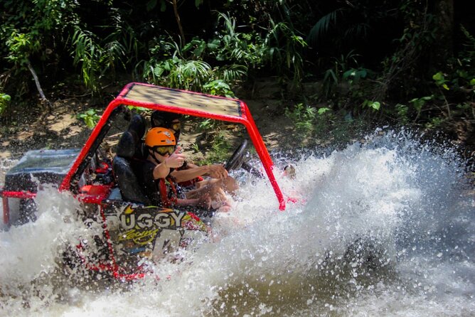 Pop Buggy Excursion from Amber Cove and Taino Bay Puerto Plata - What the buggy ride is really like