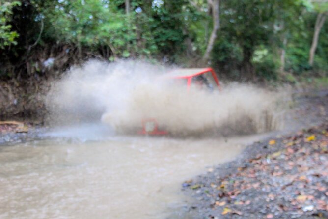 Pop Buggy Excursion from Amber Cove and Taino Bay Puerto Plata - Who will enjoy this Puerto Plata excursion