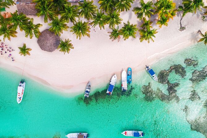 Private Activity Speedboat Ride and Snorkeling in Punta Cana - Staff, Atmosphere, and What Is Not Included