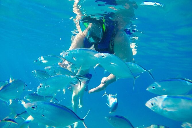 Private all-inclusive snorkeling at sosua beach. - The second reef keeps the water time worthwhile