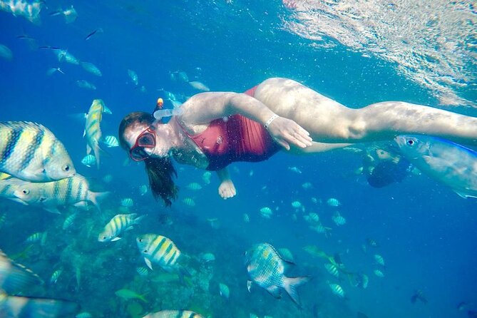 Private all-inclusive snorkeling at sosua beach. - A Dominican buffet turns snorkeling into a full half-day