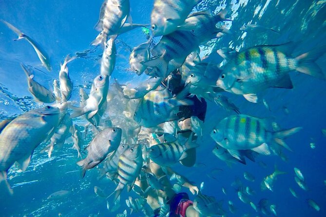 Private all-inclusive snorkeling at sosua beach. - Beach chairs give you a proper finish