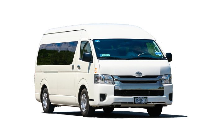 Private Arrival Transfer: Puerto Plata International Airport to Hotels (1 - 6) - What Happens When Your Plane Lands