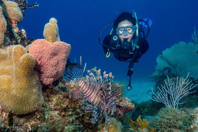 Private Bayahibe 3 Tank Diving with Lunch from Punta Cana - Why Bayahibe changes the day