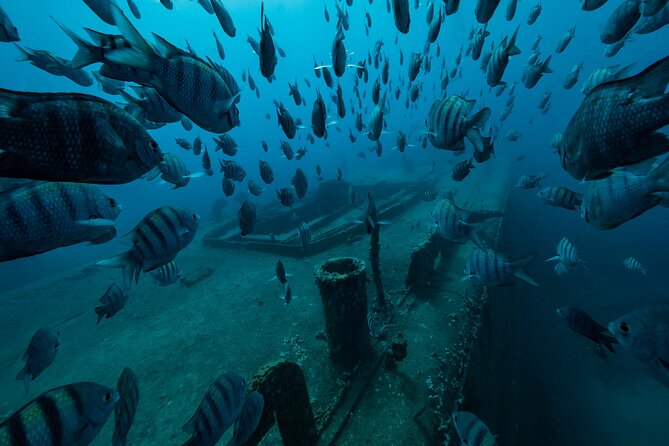 Private Bayahibe 3 Tank Diving with Lunch from Punta Cana - A 7:30 am start from Punta Cana