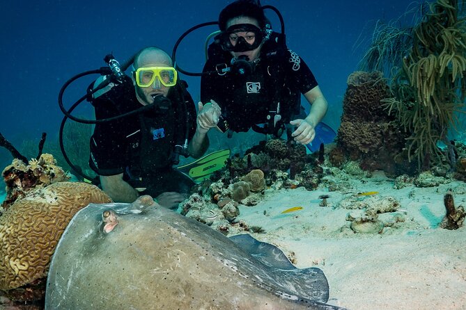 Private Bayahibe 3 Tank Diving with Lunch from Punta Cana - What the $1,300 group price really means