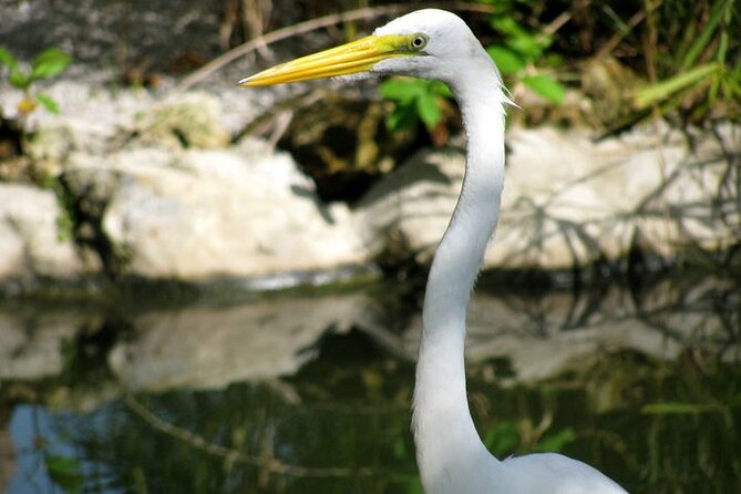Private Boat Nature Tour of Limón Beach and Lagoon - Playa Limón, a wide beach near Miches