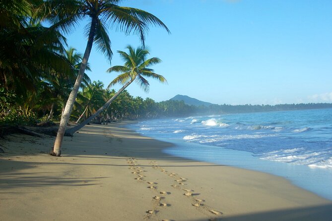 Private Boat Nature Tour of Limón Beach and Lagoon - What the private format really adds
