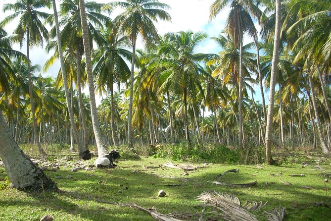 Private Boat Nature Tour of Limón Beach and Lagoon - Who will enjoy this outing most