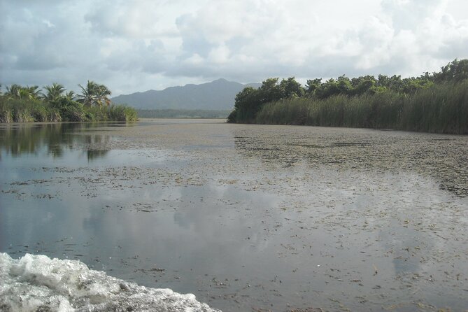 Private Boat Nature Tour of Limón Beach and Lagoon - Should you book the Limón Lagoon tour?