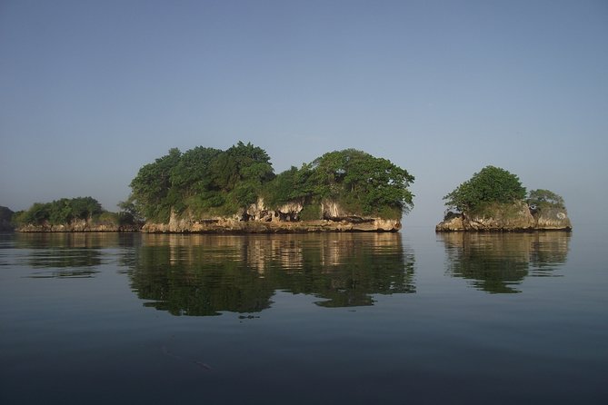 Private Boat Nature Tour of Los Haitises National Park - Why Los Haitises works best from a small boat