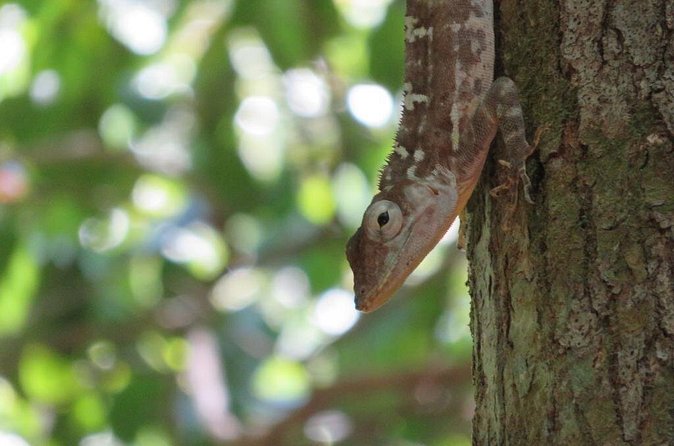 Private Boat Nature Tour of Los Haitises National Park - Small details that can make the day easier