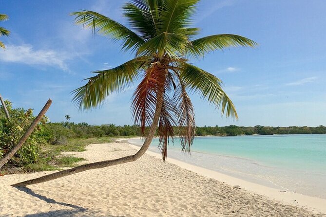 Private Boat Nature Tour of Saona Island - Is $345 per person good value?
