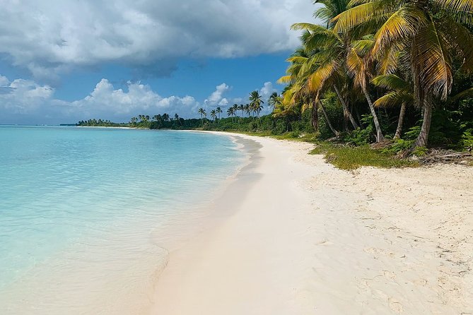 Private Boat Nature Tour of Saona Island - Saona Island beyond the busy stops