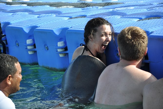 Private Caribbean Snorkeling Cruise At Punta Cana & Sharks, Stingray Encounter - Reef snorkeling near Bavaro Beach