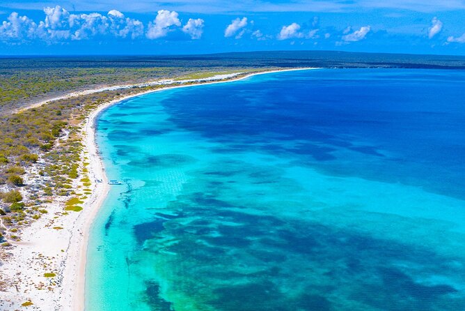 Private Catamaran Cruise to Bahia de las Aguilas - Booking, cancellation, and practical checks