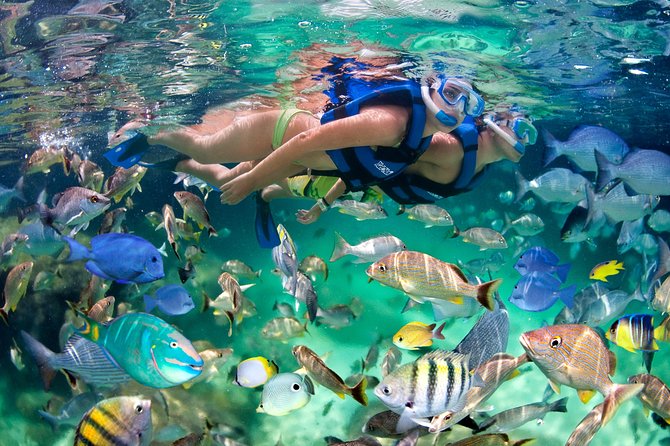 Private Catamaran Snorkeling Family Adventure - Is $900 a good value?