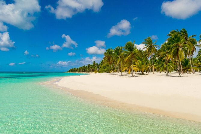 Private Full Day Beach Tour in Puerto Plata - What $80 buys you