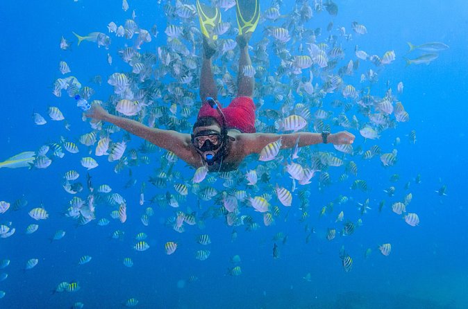 Private Full Day Charter to Saona Island from Punta Cana - Saona Island gives non-scuba participants their own time