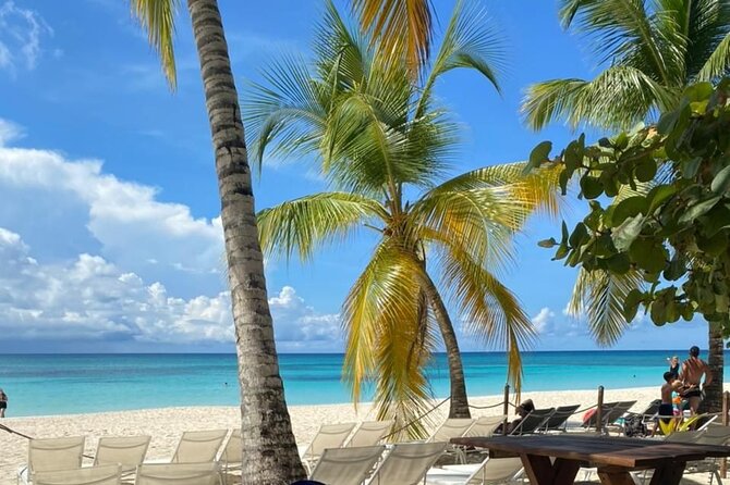 Private Full Day Tour of Punta Cana - Key points to know before you book