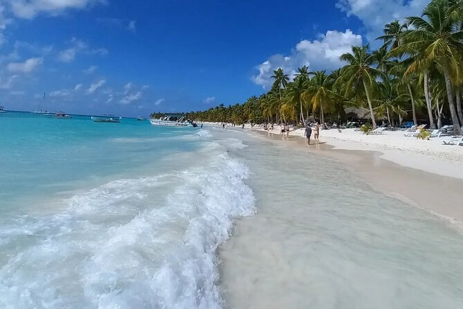 Private Full Day Tour of Punta Cana - Saona Island, with Abanico and Catuano on the plan