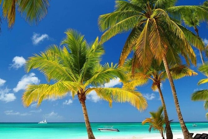 Private Full Day Tour of Punta Cana - Palmilla and the mainland side of the water