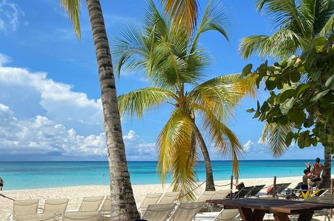 Private Full Day Tour of Punta Cana - Is the $215 price good value?