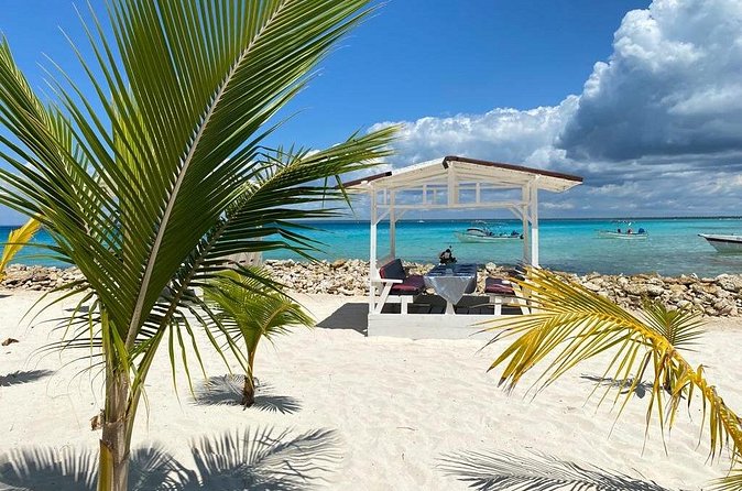 Private Full Day Tour of Punta Cana - What the operator gets right, and what needs clarity