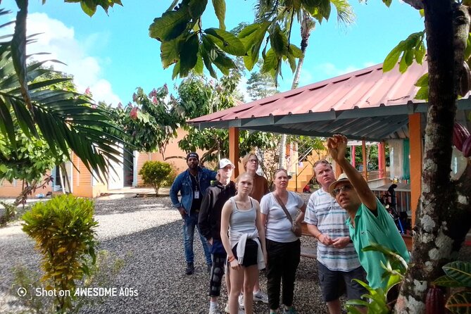 Private Half Day Tour in Dominican Republic with Local Guide - Seeing La Ceiba and Otra Banda from the road