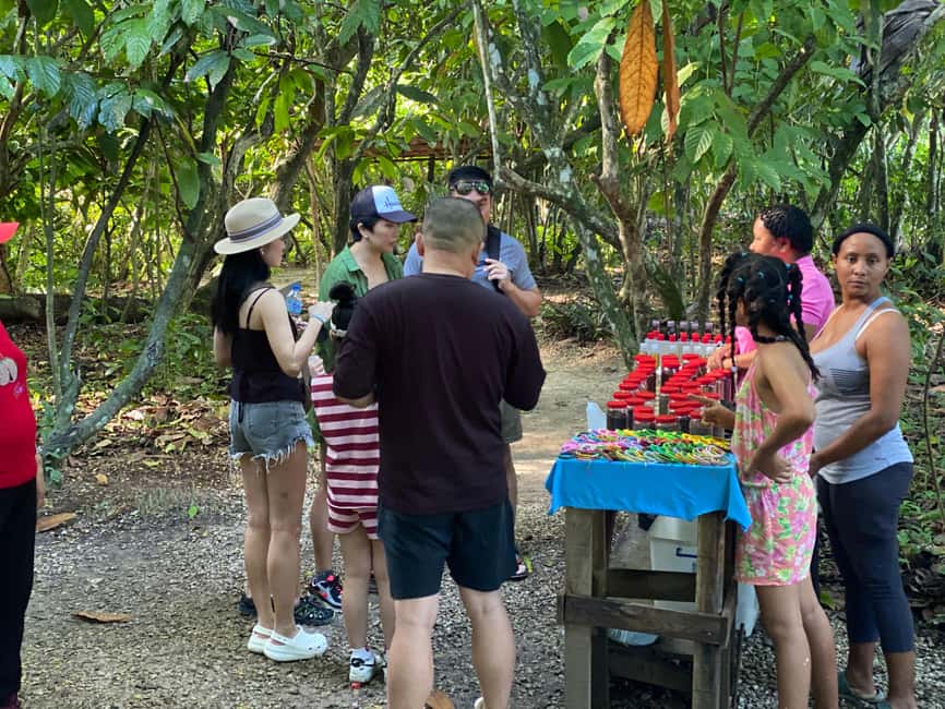Private Half Day Tour in Punta Cana-Higüey with Local Guide - Key points to know before booking