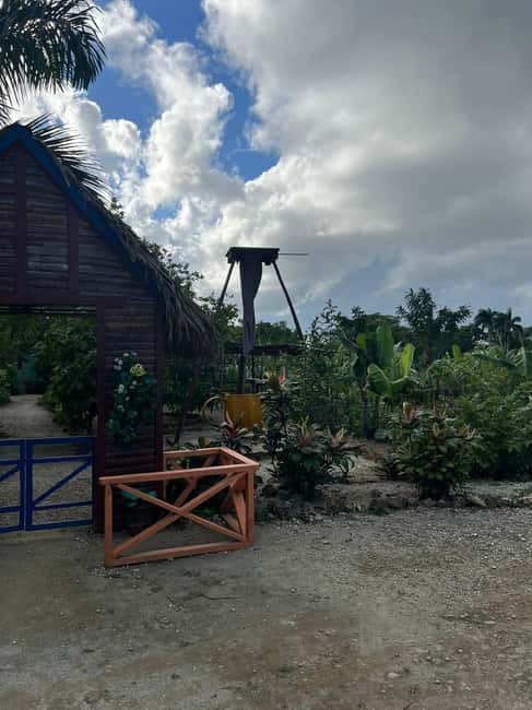 Private Half Day Tour in Punta Cana-Higüey with Local Guide - Learning how cigars are made by hand