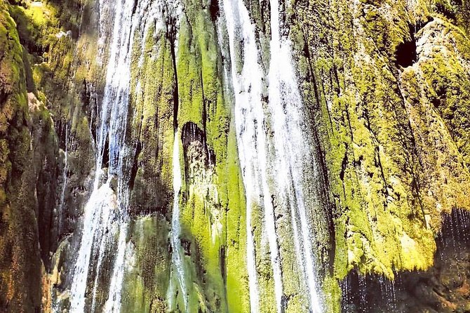 Private Hiking to Salto el Limon with a Local expert Guide from Samana - A Dominican lunch after the walk