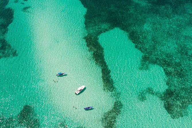 Private Isla Saona Boat Tour – Snorkeling Premium Drinks & Buffet - Palmilla’s shallow turquoise water