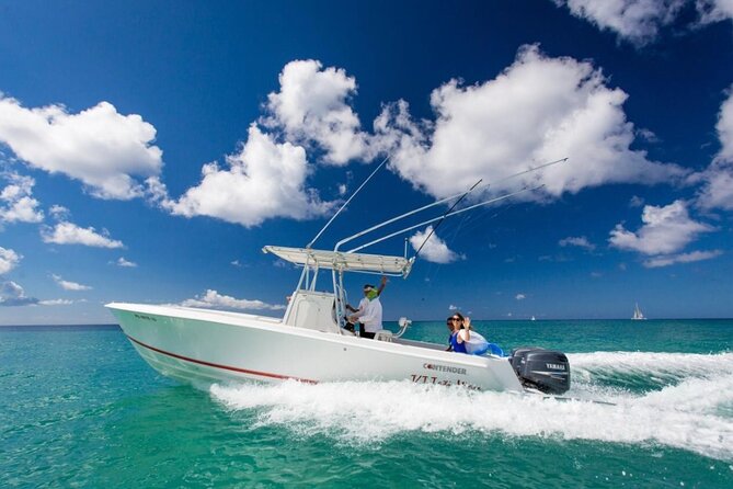 Private Isla Saona Boat Tour – Snorkeling Premium Drinks & Buffet - Snorkeling without a crowded schedule
